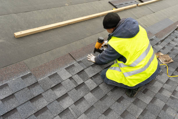 Best Metal Roofing Contractor  in Snowflake, AZ