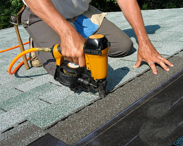 Best Roof Gutter Cleaning  in Snowflake, AZ